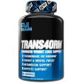 EVL Trans4orm